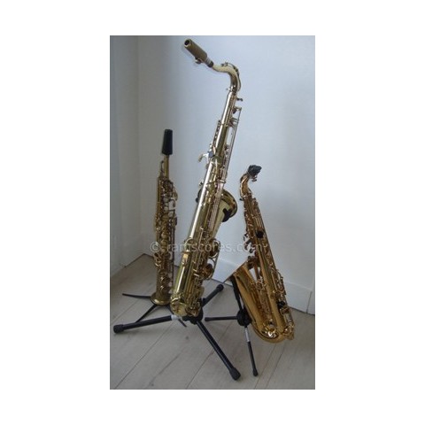La Panthere Rose Partition Saxophone Alto Niveau Facile Saxes Trio La Panthere Rose Partition Saxophone Alto Niveau Facile Saxes Trio